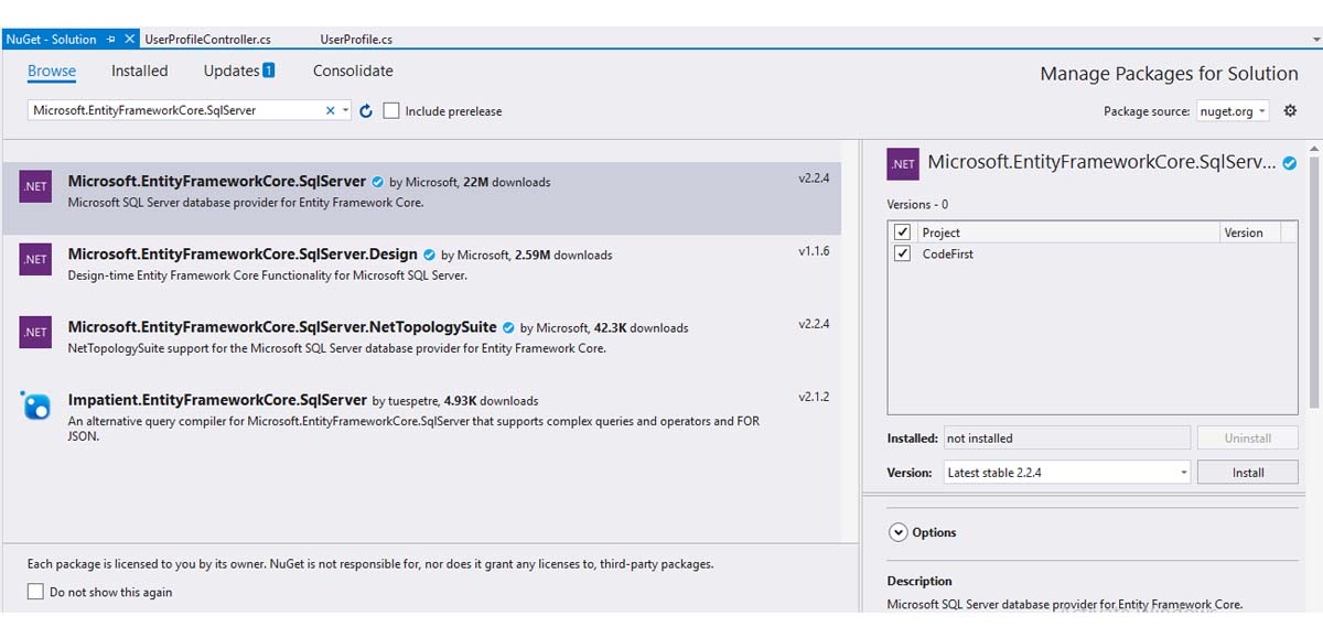 ASP.Net Core project
