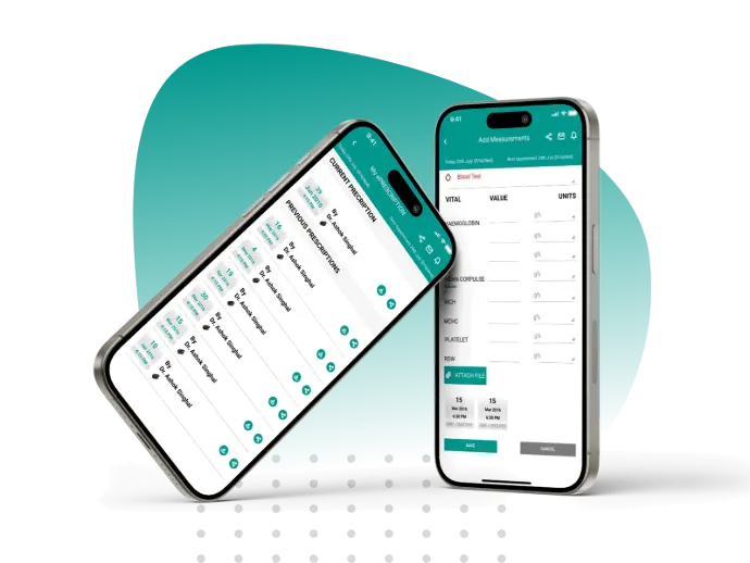 Feasibility Study Feasibility Study